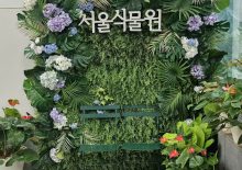 자연샘 산책날-마곡 서울 식물원
